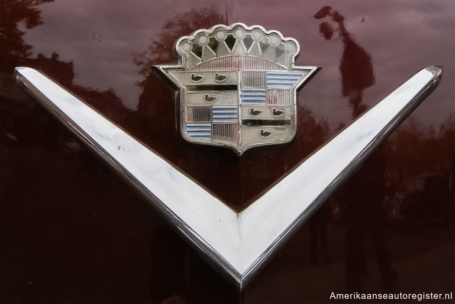 Cadillac Series 62 uit 1951